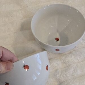 2 Kafer Munchen Ladybug Bowls German Made White